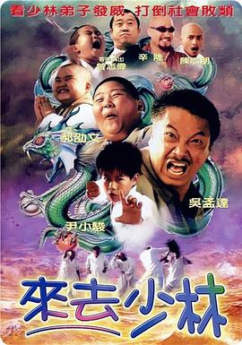 国产成人a毛片在线