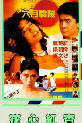 亚洲无毛