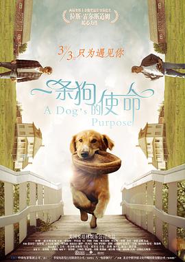 好大…好爽