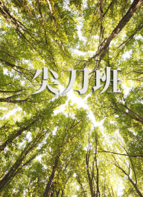 91视频亚洲