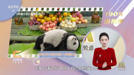 婷婷六五月